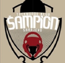 Taekwondo klub Šampion